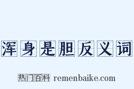 浑身是胆反义词是什么意思的图片